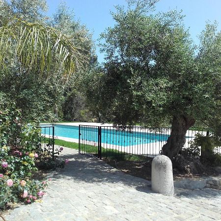 La Bastide De L'Oliveraie Le Castellet  Bagian luar foto