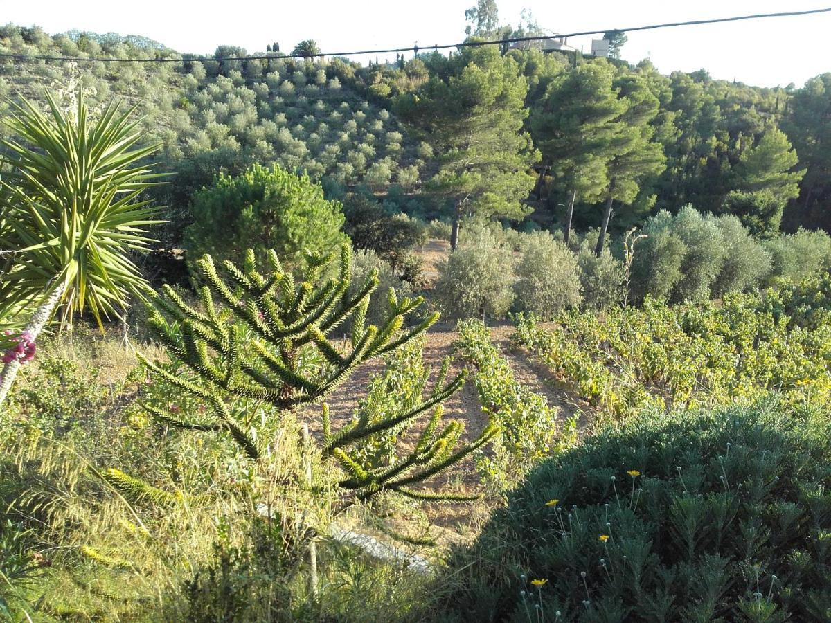 La Bastide De L'Oliveraie Le Castellet  Bagian luar foto