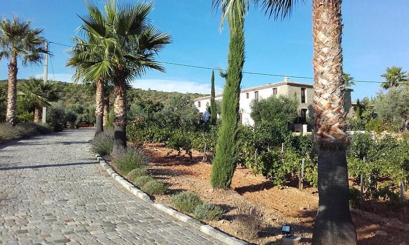 La Bastide De L'Oliveraie Le Castellet  Bagian luar foto